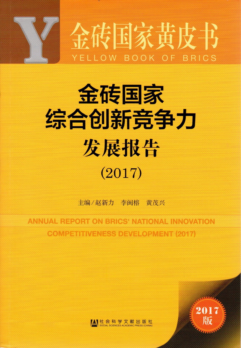 ′我要操金砖国家综合创新竞争力发展报告（2017）